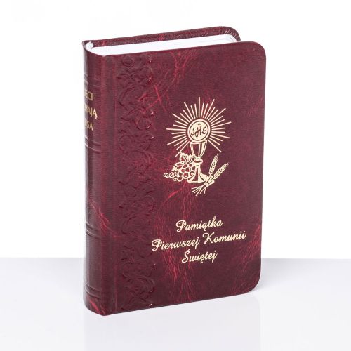 Książeczka komunijna - Dzieci Kochają Jezusa