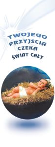 Baner na Boże Narodzenie "Twojego przyjścia czeka świat cały" 75x200cm