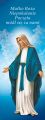 Baner religijny Matka Boża Niepokalana "Matko Boża Niepokalanie.." 75x200 cm