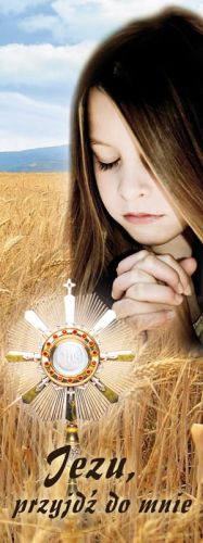 Baner na I Komunię Świętą "Jezu przyjdź do mnie" 75x200 cm