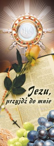 Baner na I Komunię Świętą "Jezu przyjdź do mnie" 75x200 cm