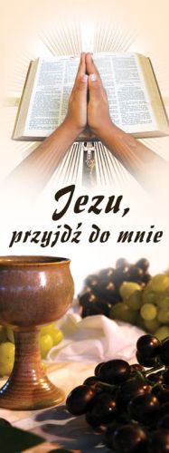 Baner na I Komunię Świętą "Jezu przyjdź do mnie" 75x200 cm