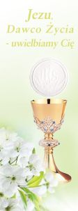 Baner na I Komunię Świętą "Jezu dawco życia uwielbiamy Cię" 75x200 cm