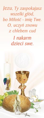 Baner na I Komunię Świętą "Jezu ty zaspokajasz wszelki głód" 75x200 cm