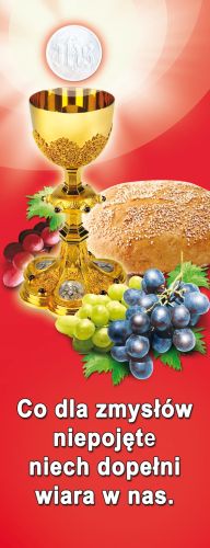 Baner na Boże Ciało "Co dla zmysłów" czerwony 50x130 cm