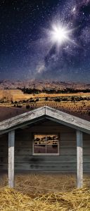 Tło do szopki, Gwiazda Betlejemska 150/350cm