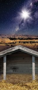 Tło do szopki, Gwiazda Betlejemska 150/350cm