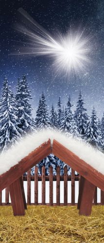 Tło do szopki, Gwiazda Betlejemska 150/350cm