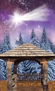 Tło do szopki, Gwiazda Betlejemska 150/250cm