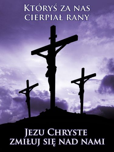 Baner na Wielki Post "Któryś za nas cierpiał rany" 75x100cm