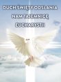 Baner na Wielkanoc "Duch Święty odsłania nam tajemnicę Eucharystii" 75x100 cm