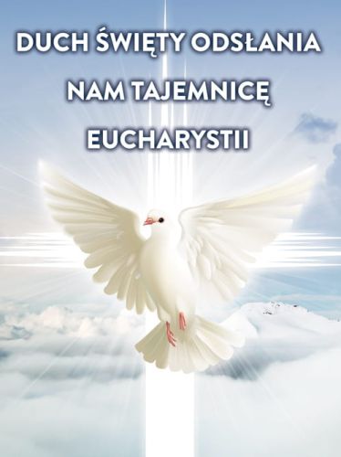 Baner na Wielkanoc "Duch Święty odsłania nam tajemnicę Eucharystii" 75x100 cm