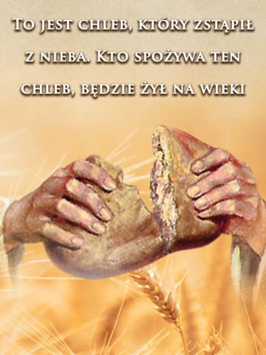 Baner na Boże Ciało "To jest chleb, który zstąpił z nieba.." 75x100 cm
