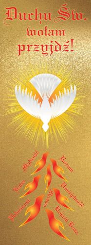 Baner religijny Duchu Święty przyjdź! 75x200 cm