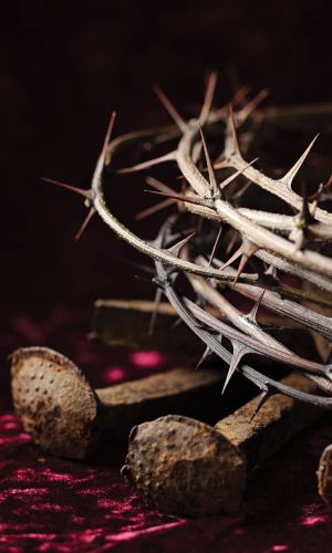 Tło do Ciemnicy, korona cierniowa 120x200 cm