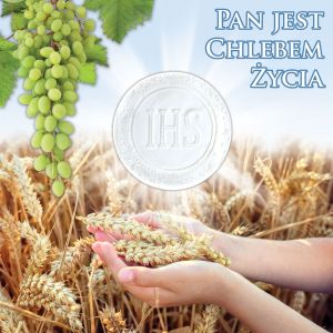 Baner na Boże Ciało, Symbole Eucharystii "Pan Jest Chlebem Życia" 150x150 cm