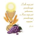 Baner na Boże Ciało "Ciało Moje jest prawdziwym pokarmem" 150x150 cm