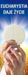 Baner religijny na Boże Ciało "Eucharystia daje życie" 75x200 cm