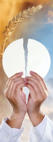 Baner religijny na Boże Ciało, symbole eucharystyczne - 75x200 cm