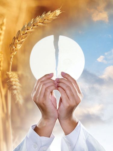 Baner religijny na Boże Ciało, symbole Eucharystyczne- 75x100 cm