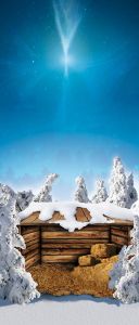 Tło do szopki, Szopka z siankiem w środku 150/350cm