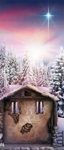 Tło do szopki, Gwiazda Betlejemska 150/350cm