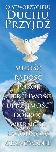 Baner na bierzmowanie "Duchu Przyjdź" 50x130 cm