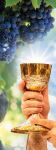 Baner religijny na Boże Ciało, symbole eucharystyczne - 50x130 cm