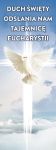 Baner na Boże Ciało "Duch Święty odsłania nam tajemnicę Eucharystii" 50x130 cm