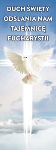 Baner na Boże Ciało "Duch Święty odsłania nam tajemnicę Eucharystii" 50x130 cm