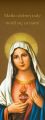 Baner religijny Najświętsze Serce Maryi "Matko dobrej rady módl się za nami" 50x130 cm