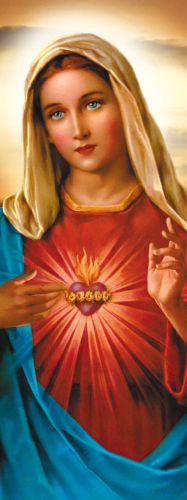 Baner religijny Najświętsze Serce Maryi 50x130 cm