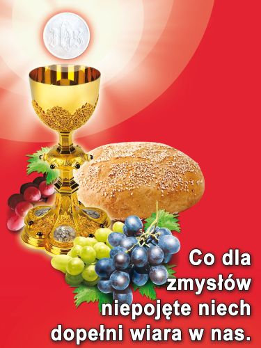 Baner na Boże Ciało "Co dla zmysłów..." czerwony 75x100 cm