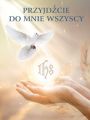 Baner na Boże Ciało "Przyjdźcie do mnie wszyscy" 75x100cm
