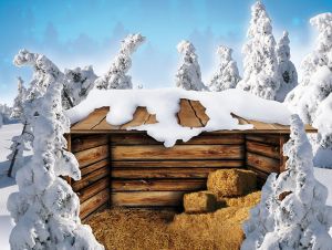 Tło do szopki, Szopka z siankiem w środku 265/200cm