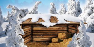 Tło do szopki, Szopka z siankiem w środku 400/200cm