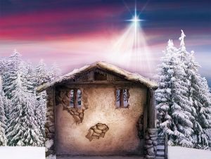 Tło do szopki, Gwiazda Betlejemska 265/200cm