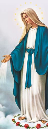 Baner religijny Matka Boża Niepokalana 75x200 cm